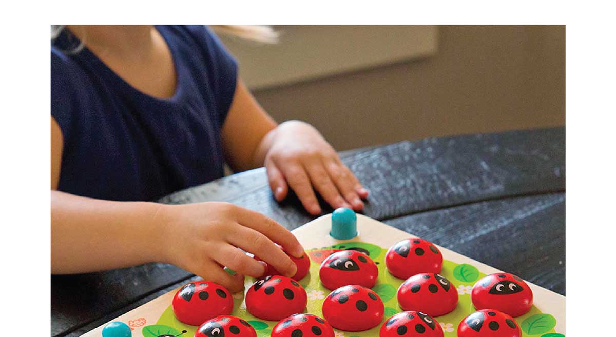 Ladybug's Garden Memory Game