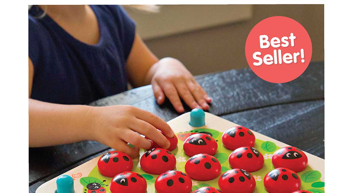 Ladybug's Garden Memory Game