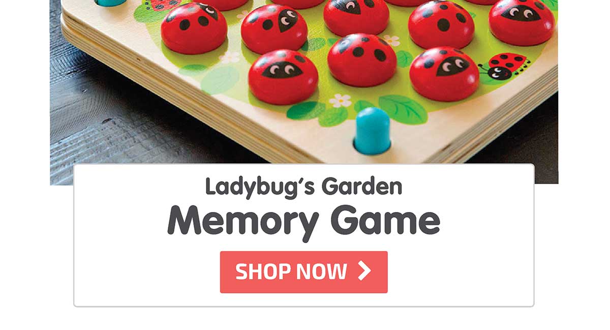 Ladybug's Garden Memory Game - Shop Now
