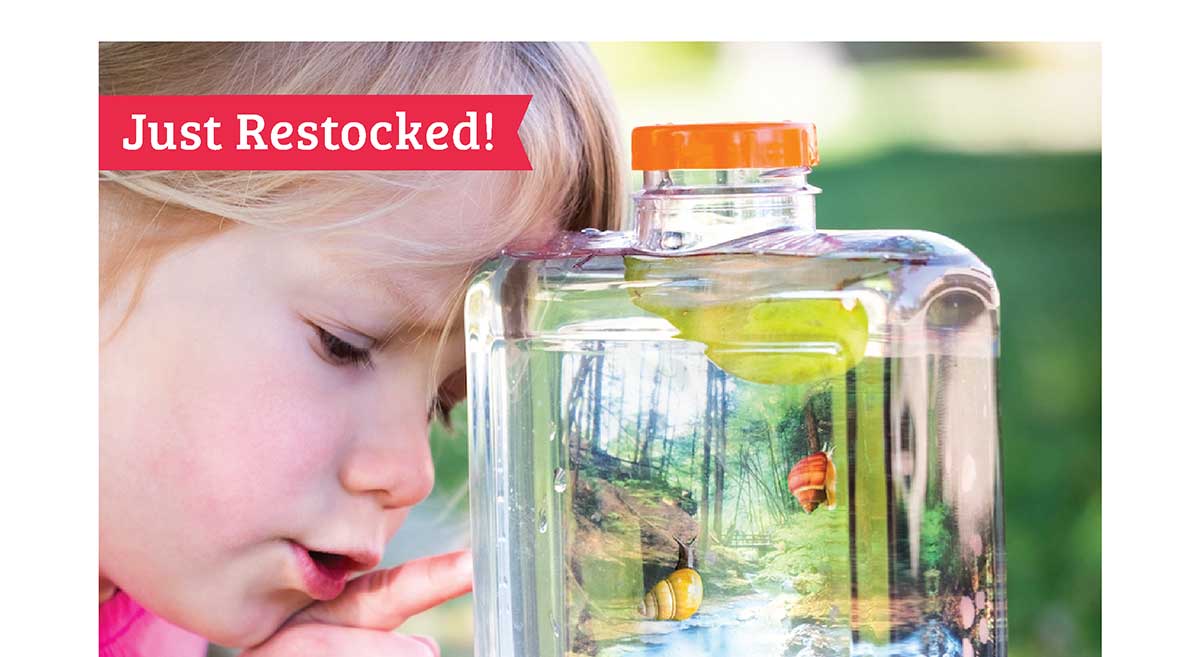 Snail World - Just Restocked!
