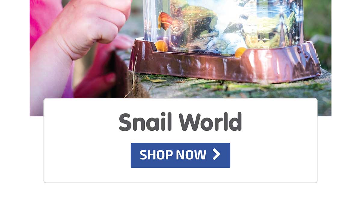 Snail World - Just Restocked! - Shop Now