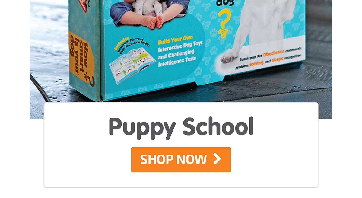 Puppy School - Best Seller! - Shop Now