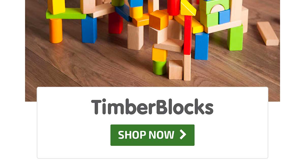 TimberBlocks - 100 Piece Wooden Block Set - Shop Now