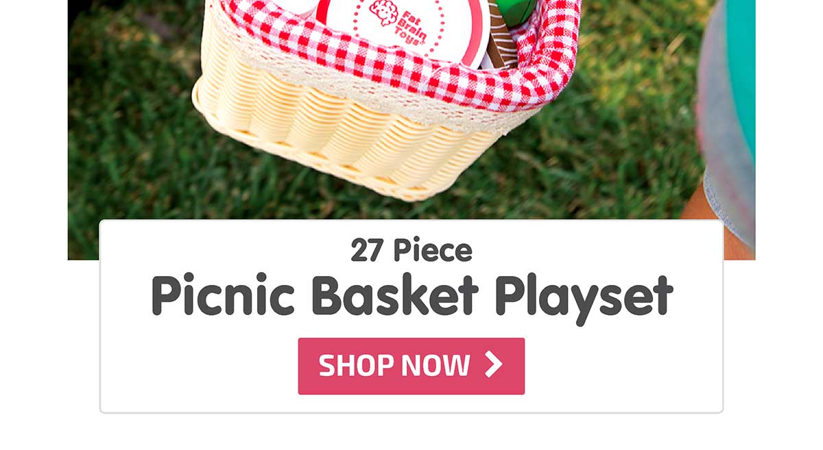 27 Piece Picnic Basket Playset - Shop Now