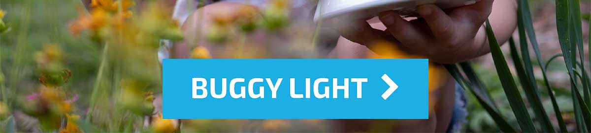 Buggy Light - Shop Now