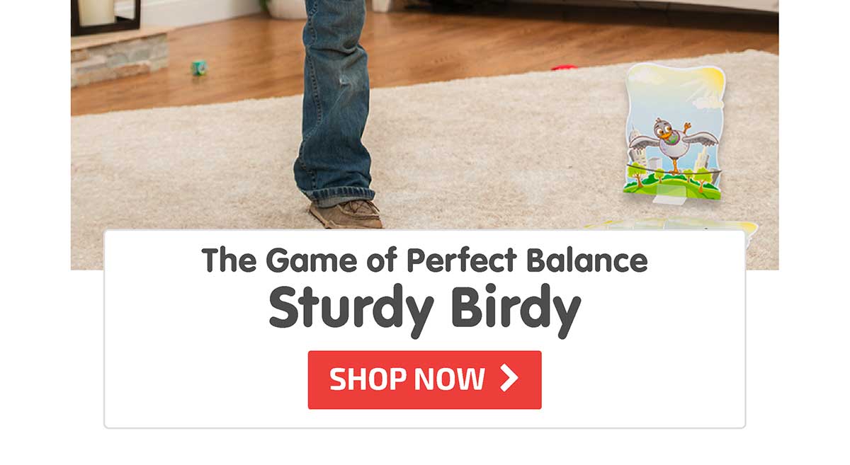 Sturdy Birdy: The Game of Perfect Balance - Shop Now