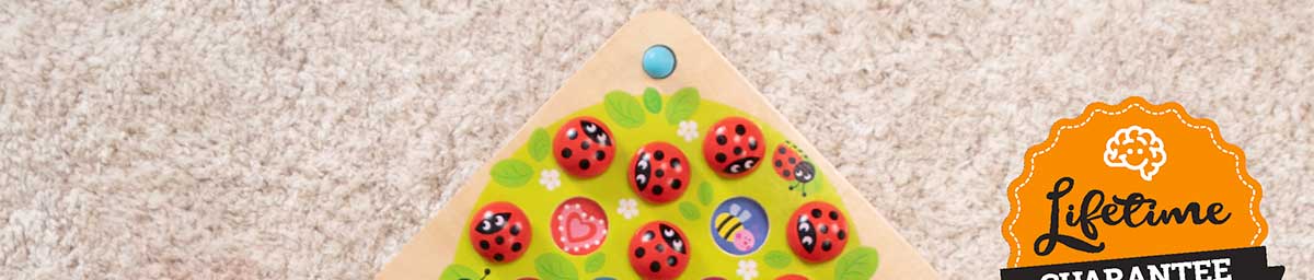 Ladybug Garden Memory Game