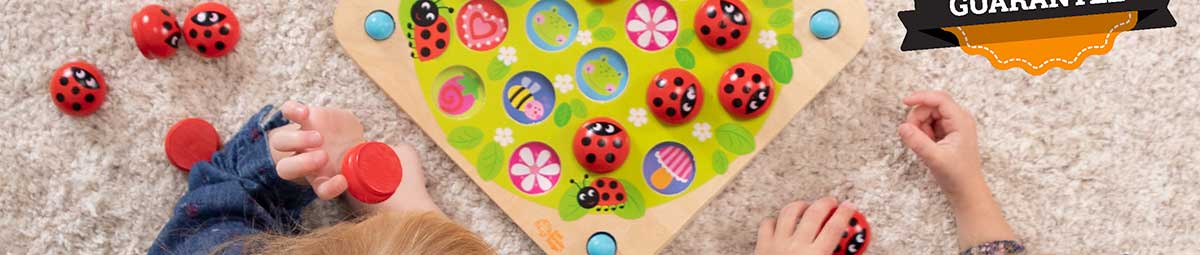 Ladybug Garden Memory Game