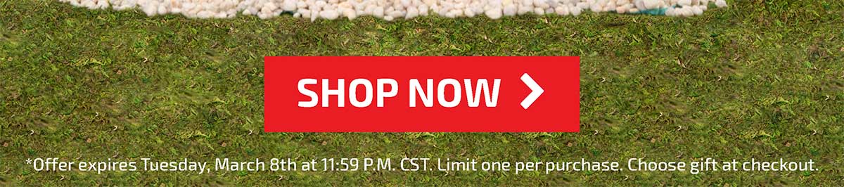 Free Timber Tots Gift with Any Timber Tots Purchase - Shop Now