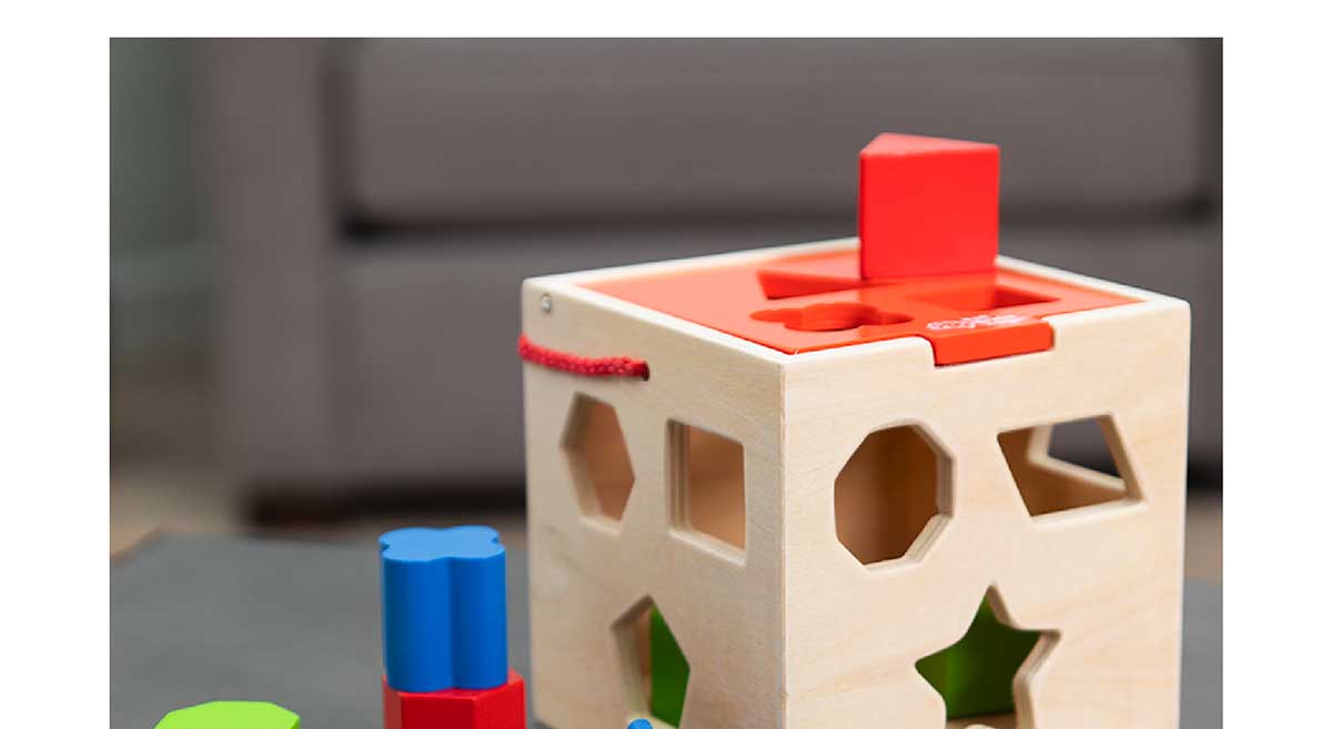Take-Along Shape Sorter