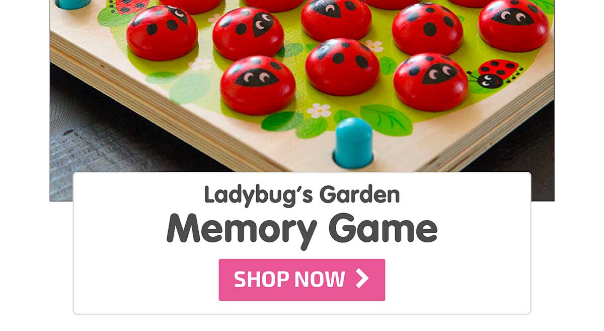 Ladybug's Garden Memory Game - Shop Now