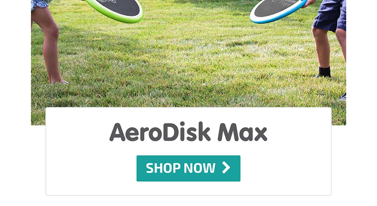 AeroDisk Max - Shop Now