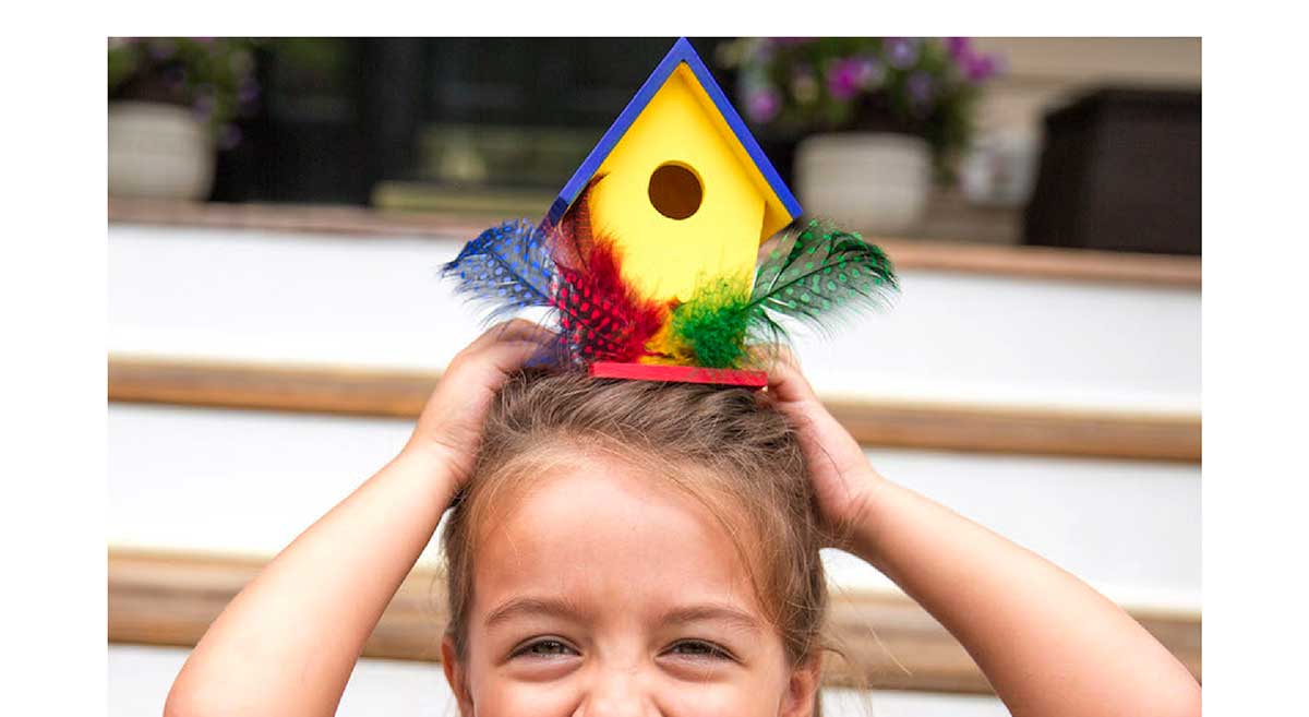 Surprise Ride - Paint a Birdhouse Activity Kit