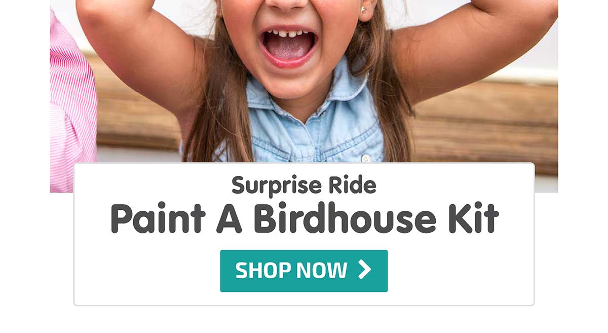 Surprise Ride - Paint a Birdhouse Activity Kit - Shop Now