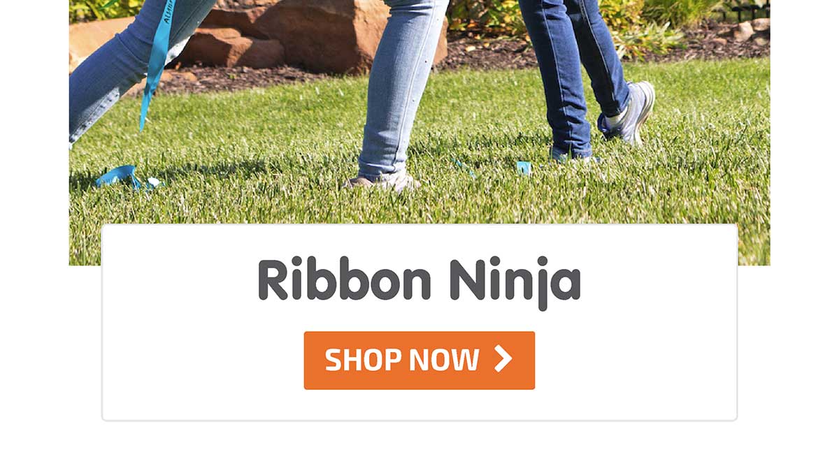 Ribbon Ninja - Shop Now