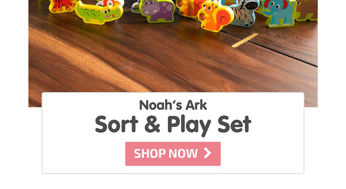 Noah's Ark Sort & Play Set - Shop Now