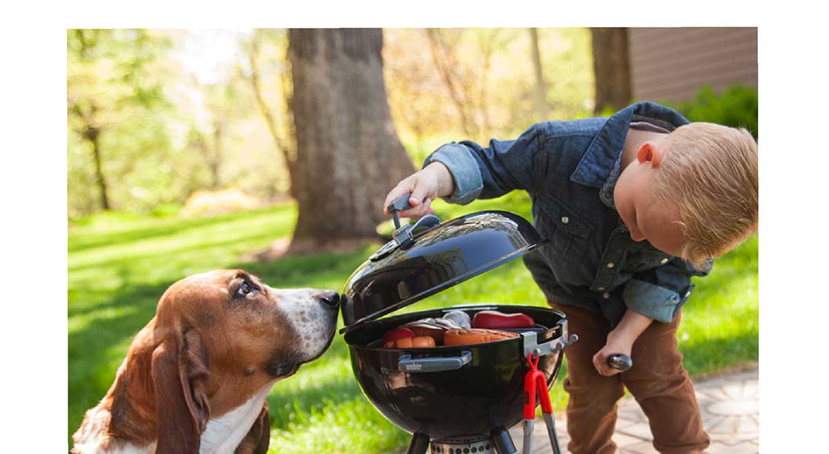 My Backyard Toy Weber Grill