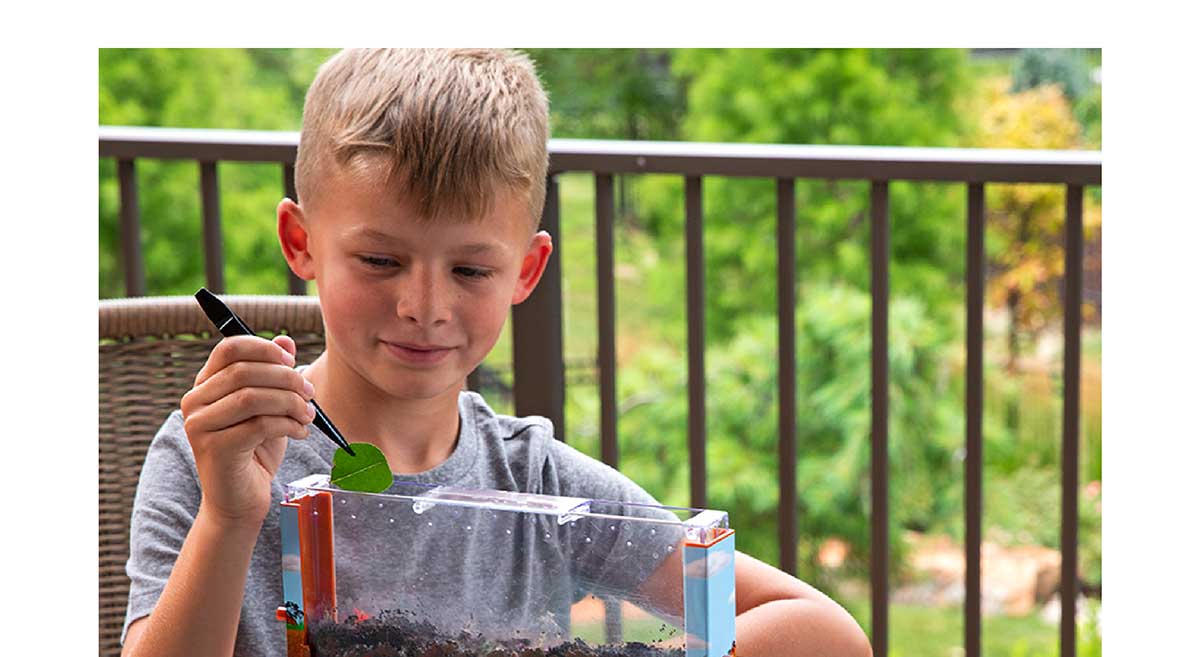 Worm Farm