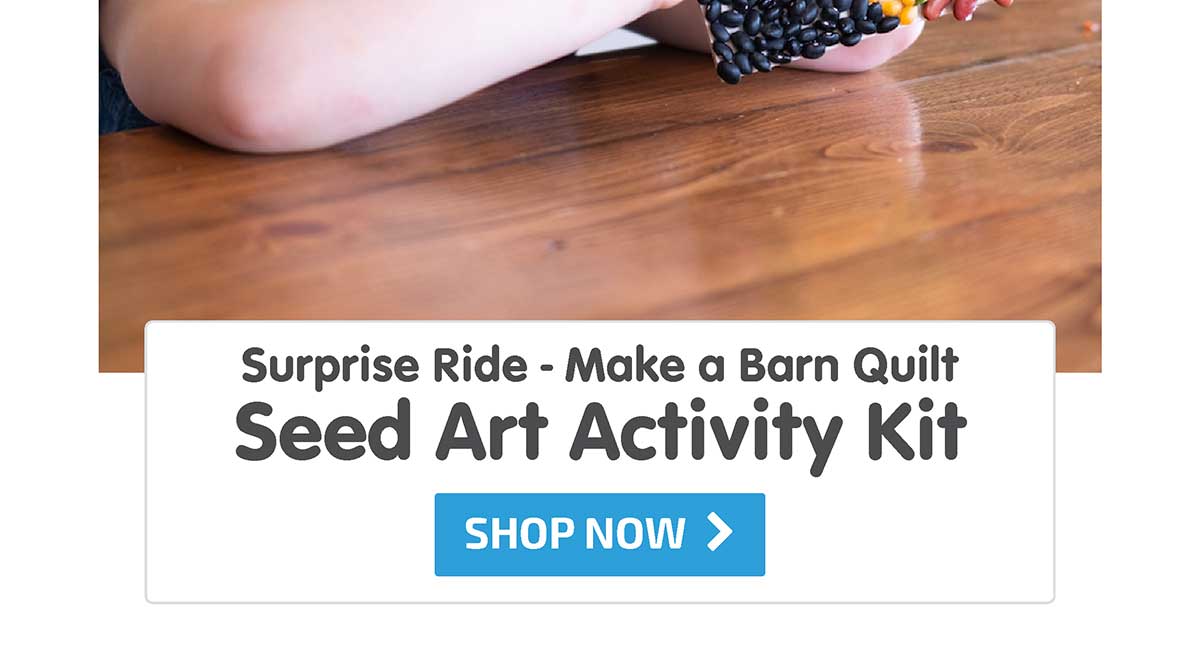 Surprise Ride - Make a Barn Quilt with Seed Art Activity Kit - Shop Now