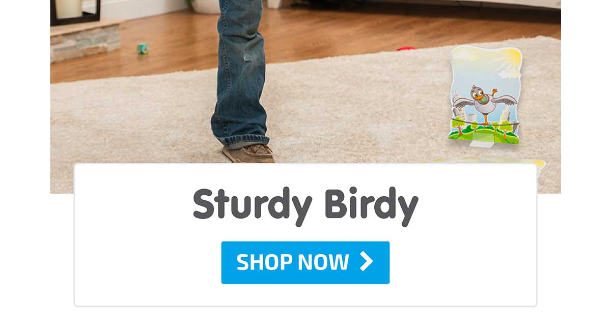 Sturdy Birdy: The Game of Perfect Balance - Shop Now