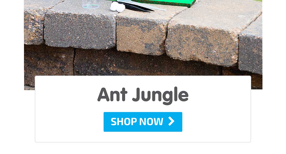 Ant Jungle - Shop Now