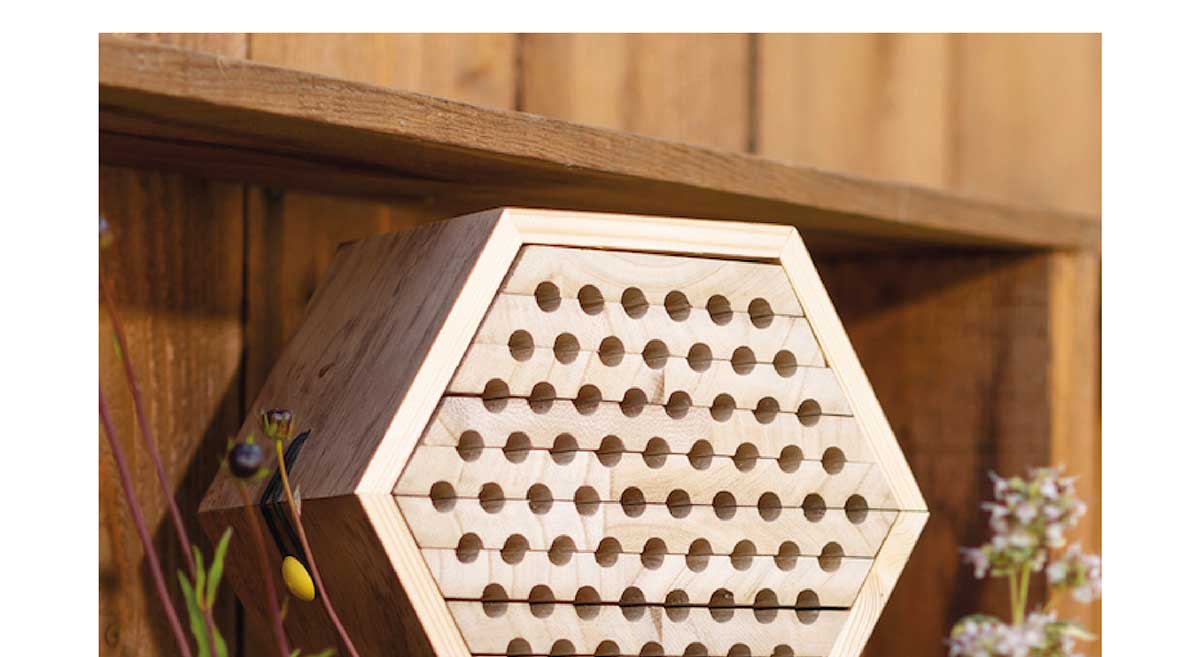 Solitary Bee Habitat