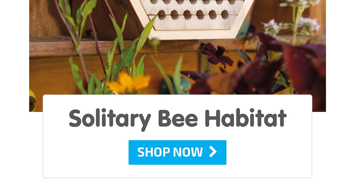 Solitary Bee Habitat - Shop Now