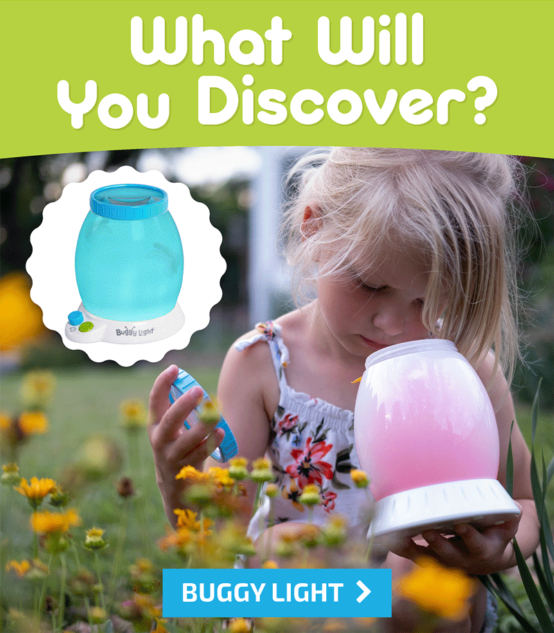 What Will You Discover?