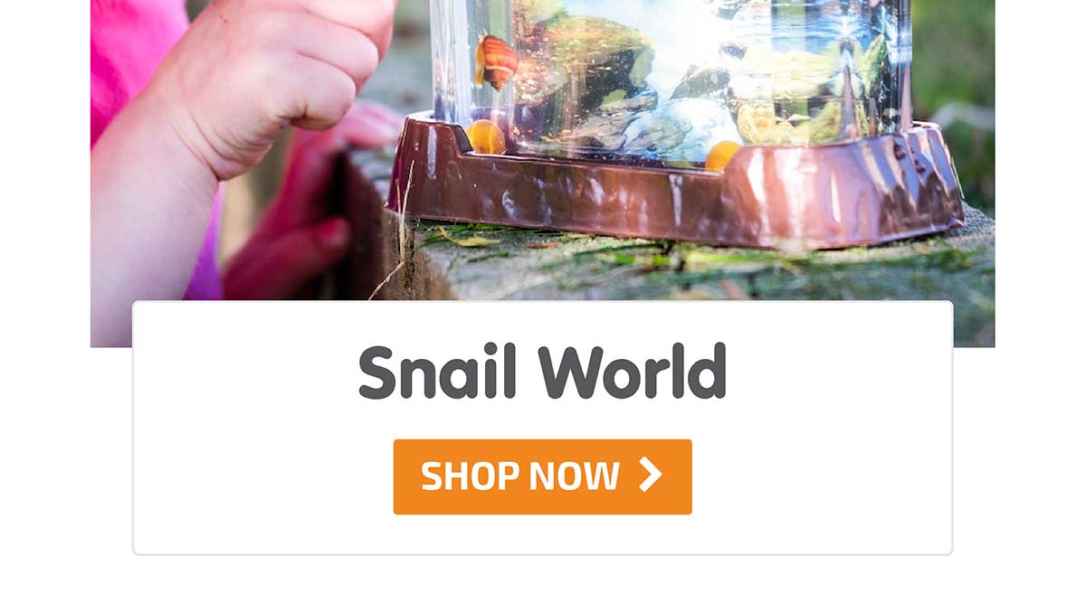 Snail World- Shop Now