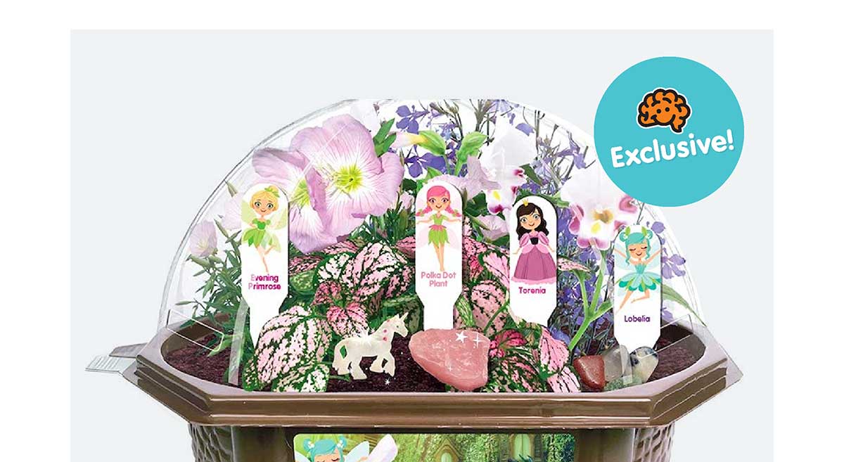 Fanciful Fairy Garden