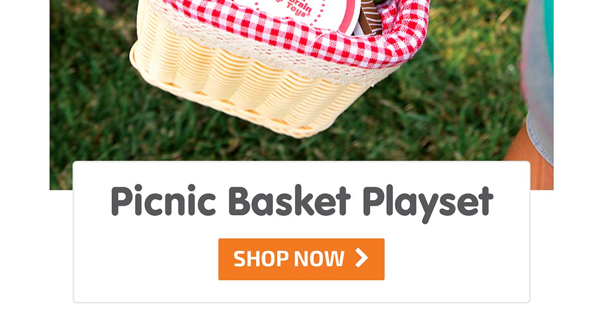 27 Piece Picnic Basket Playset - Shop Now