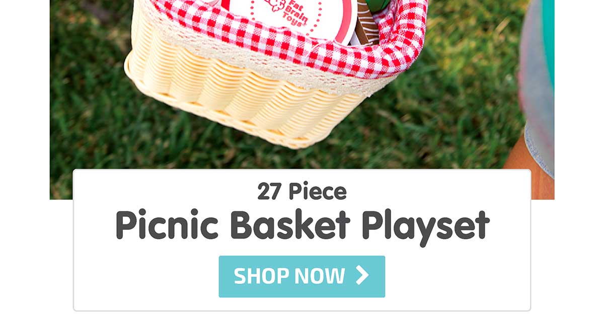 27 Piece Picnic Basket Playset - Shop Now