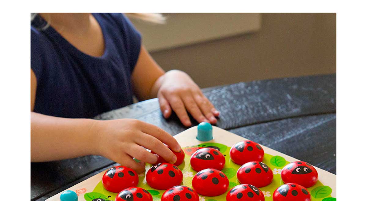 Ladybug's Garden Memory Game