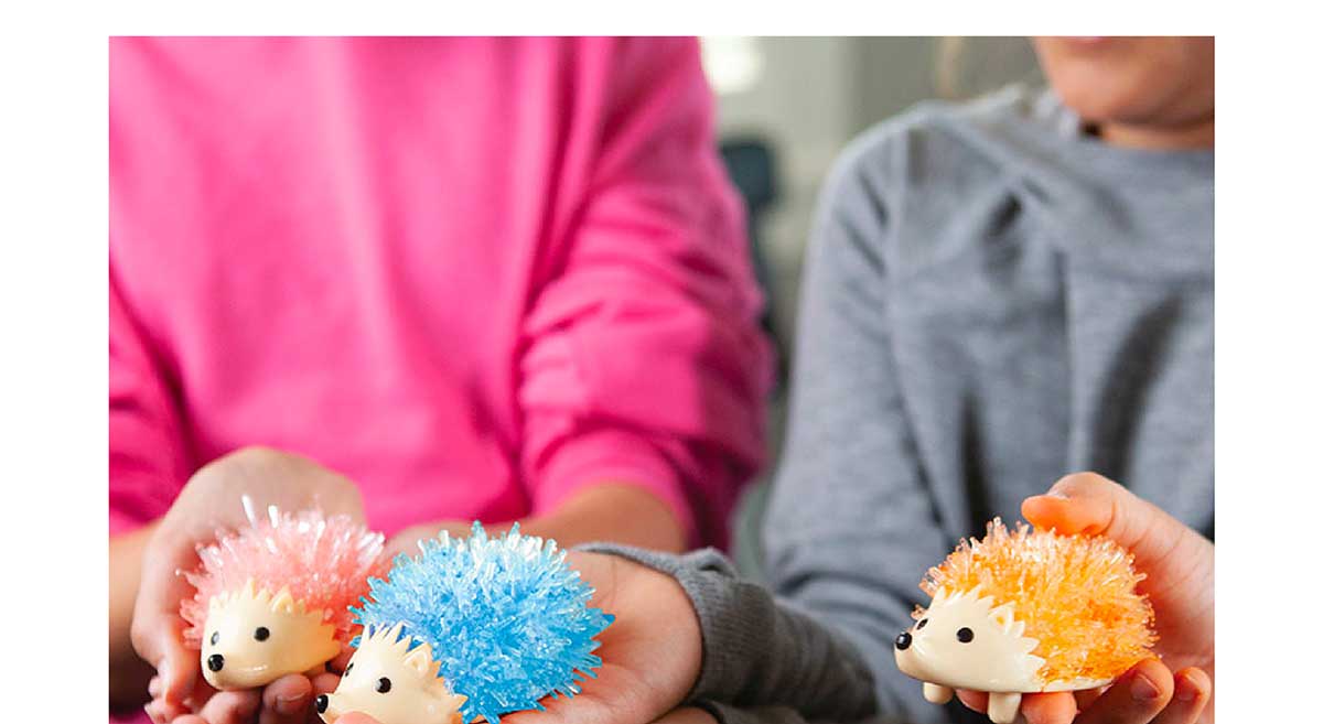 Crystal Growing Hedgehog