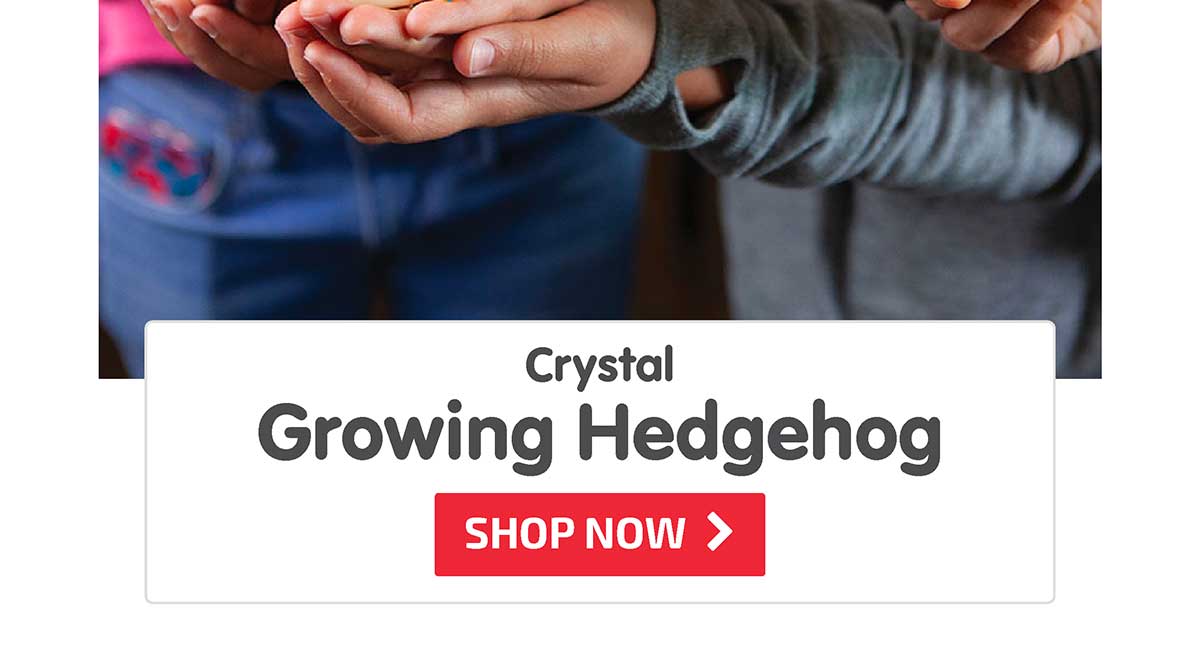 Crystal Growing Hedgehog - Shop Now