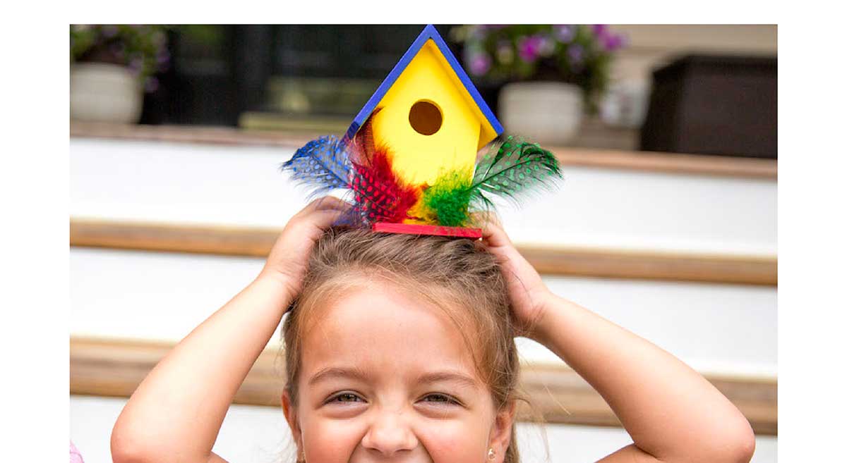 Surprise Ride - Paint a Birdhouse Activity Kit