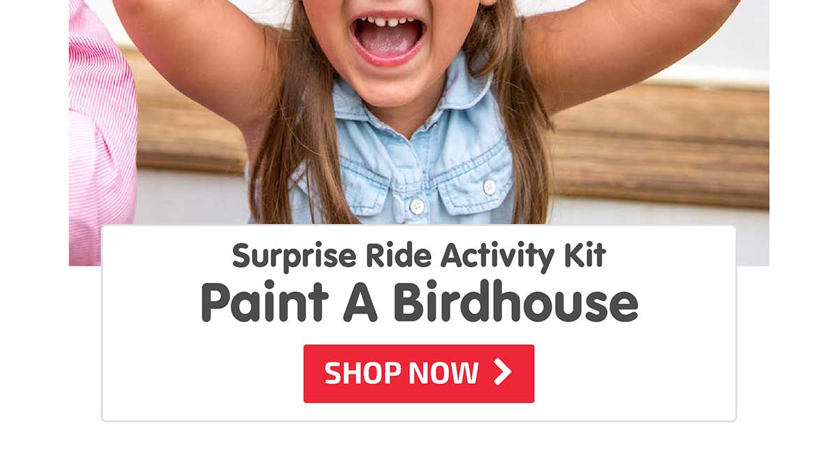 Surprise Ride - Paint a Birdhouse Activity Kit - Shop Now