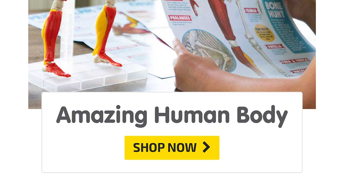 Our Amazing Human Body - Shop Now