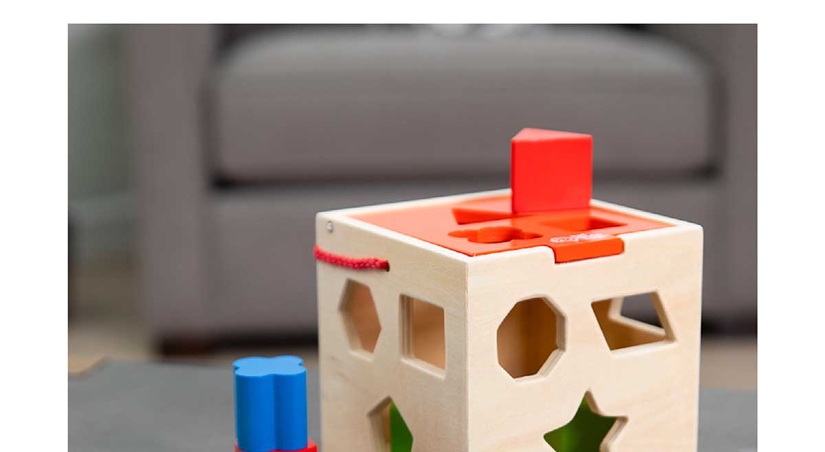 Take-Along Shape Sorter