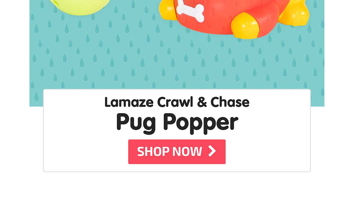 Lamaze Crawl & Chase Pug Popper - Shop Now