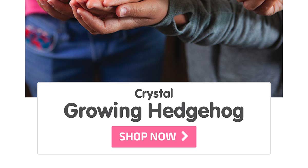 Crystal Growing Hedgehogs - Shop Now