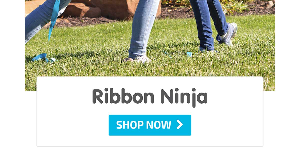 Ribbon Ninja - Shop Now