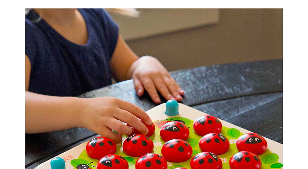 Ladybug’s Garden Memory Game