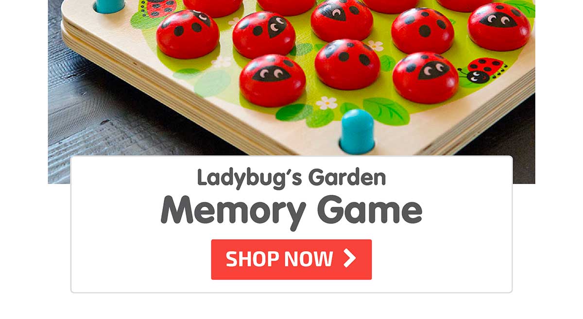 Ladybug’s Garden Memory Game - Shop Now