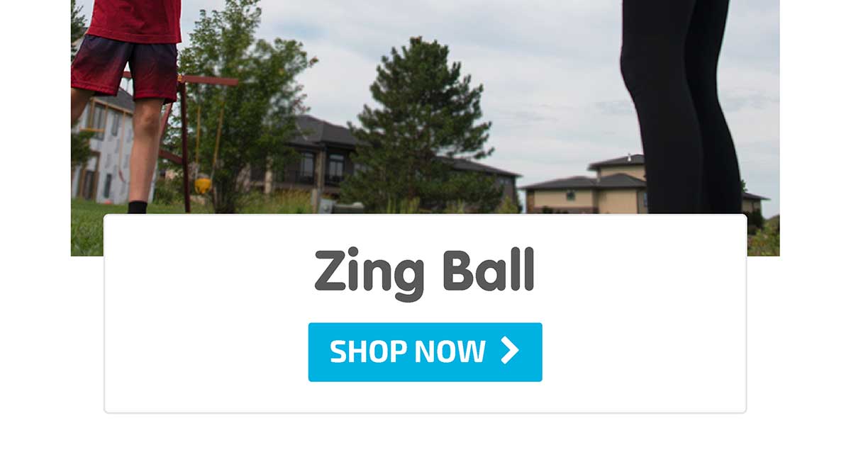 Zing Ball - Shop Now