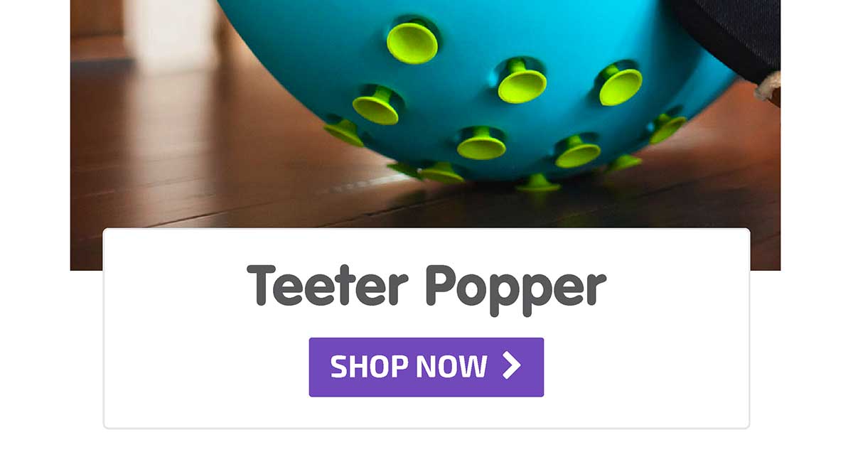 Teeter Popper - Shop Now