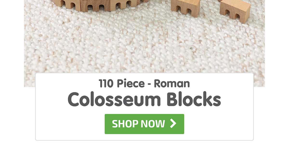 Roman Colosseum Blocks -110 pcs - Shop Now