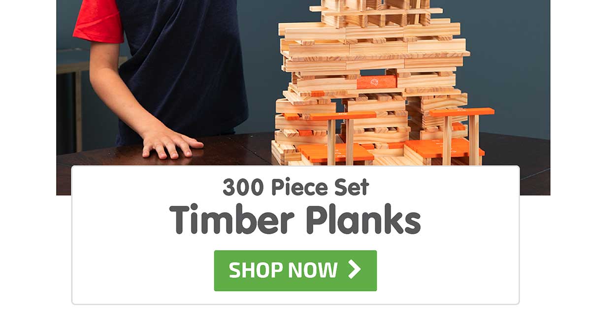 Timber Planks 300 Piece Set - Shop Now