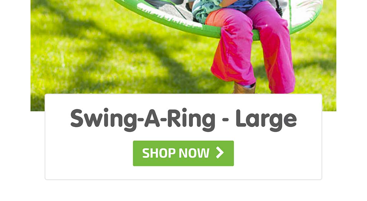 Swing-A-Ring - Large - Shop Now