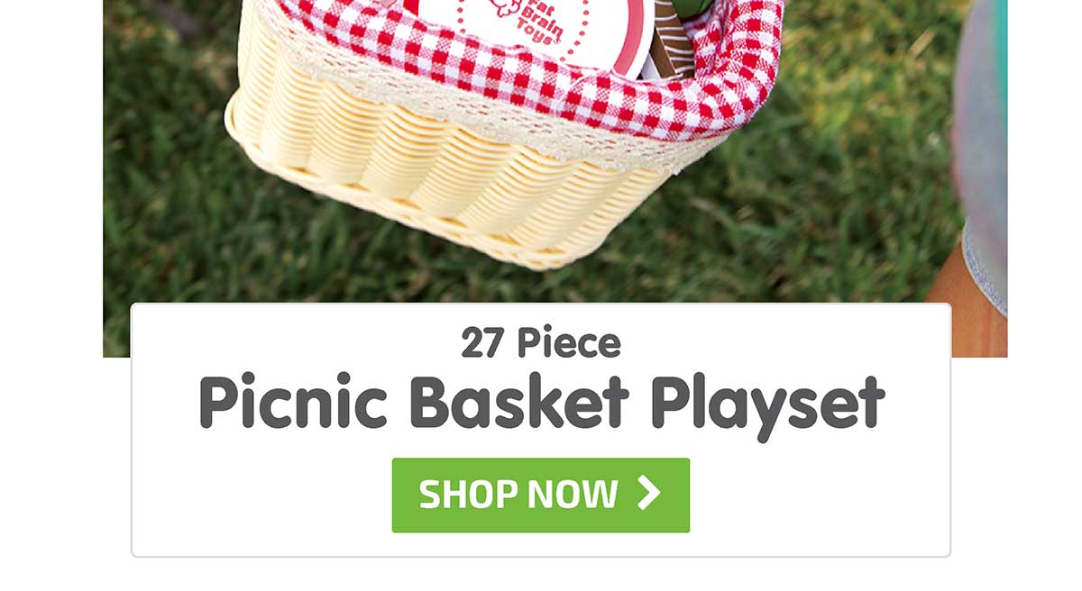 27 Piece Picnic Basket Playset - Shop Now